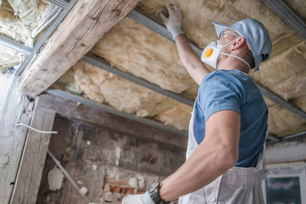 Best Geographic-Specific Insulation Services in Stock Island, FL