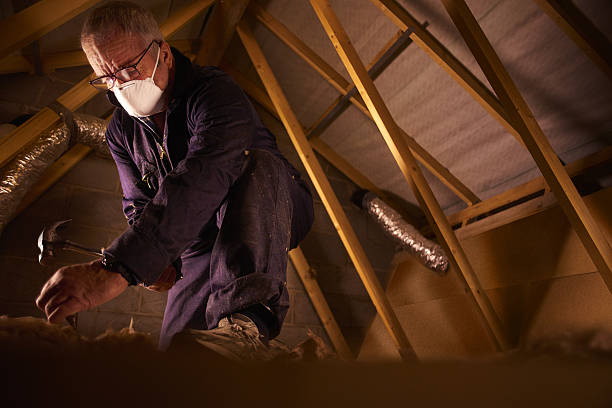 Best Insulation Maintenance and Repair in Stock Island, FL